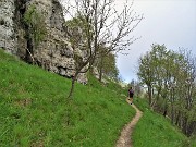 In Linzone spettacolo di narcisi e muscari - 15magg23-FOTOGALLERY